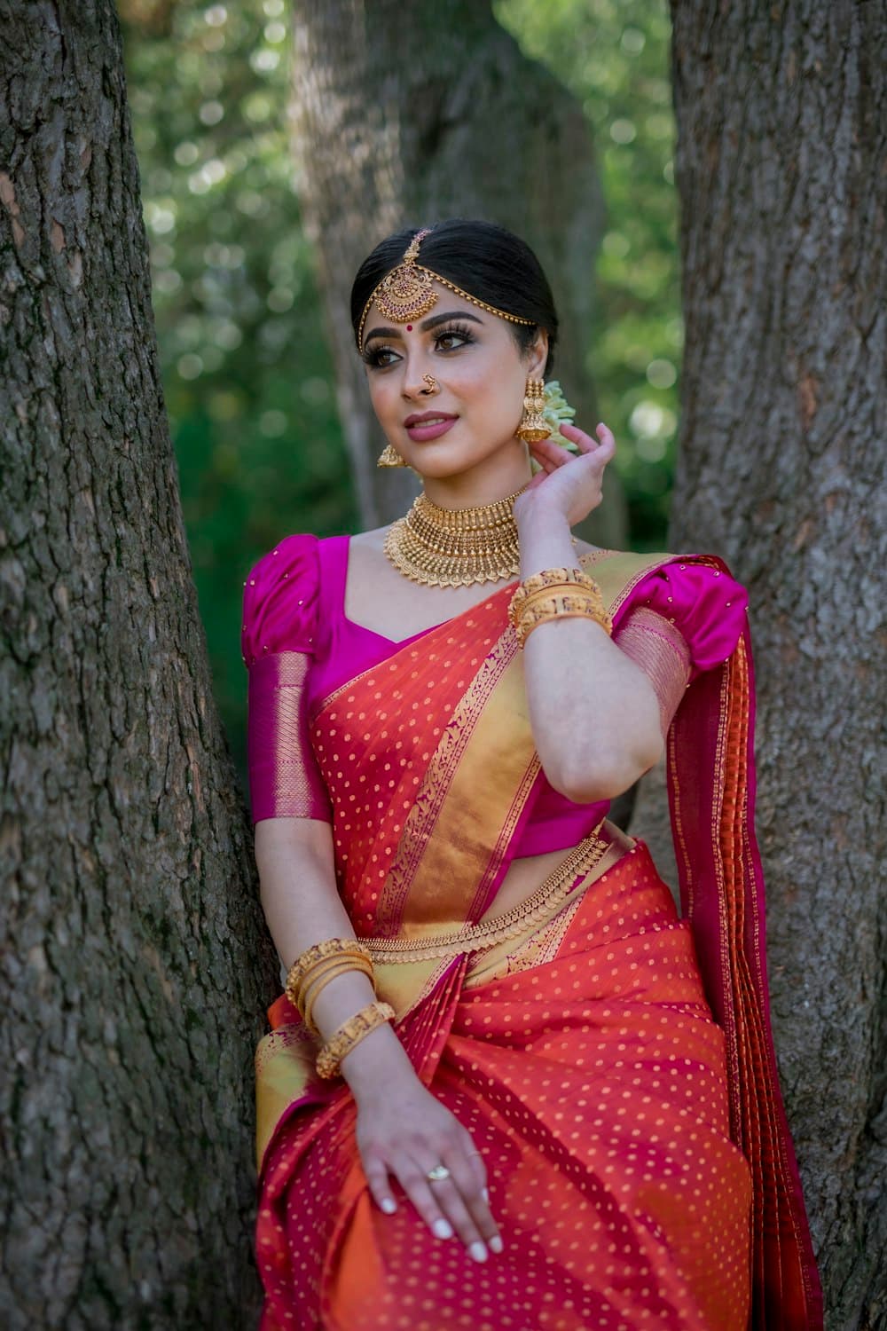 A woman in a pink and orange silk saree with gold jewellery between two tree trunks