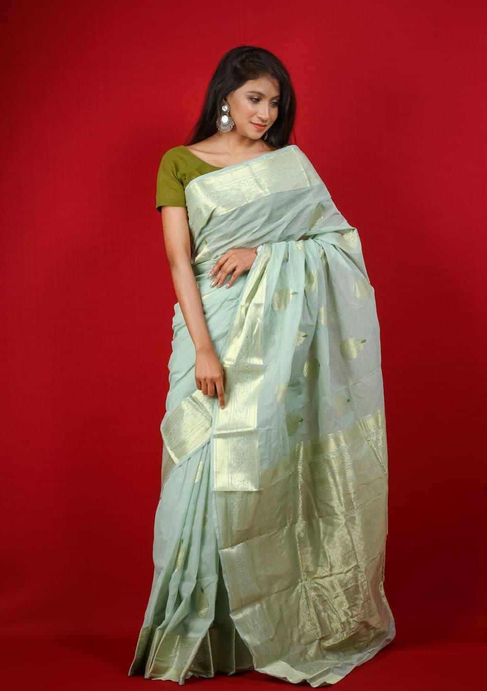 A woman in a pale mint saree with silver motifs and an olive blouse
